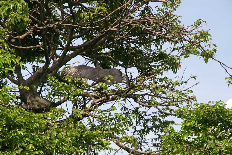 Mexico & Guatemala 2010 - 0949